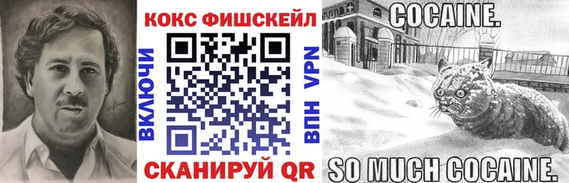 Cocaine FishScale  Купить где  Калачинск 