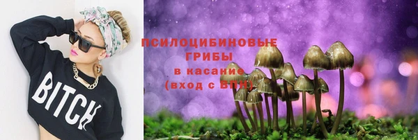 шишки Шарыпово