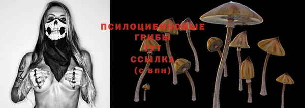 сатива Наволоки