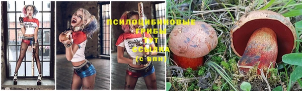 мескалин Шали